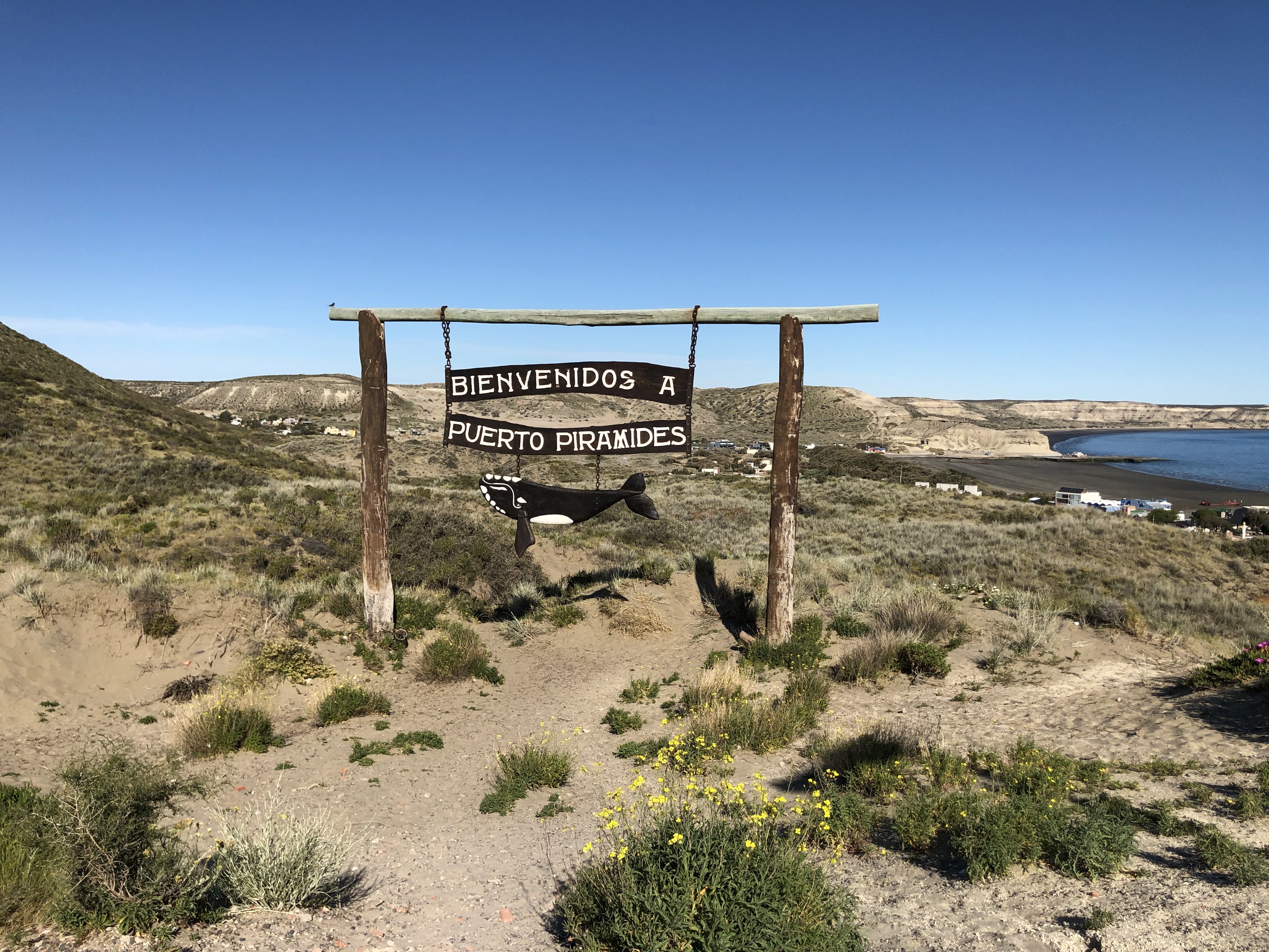 Argentina Day 3 – Travel to Punta Piramides