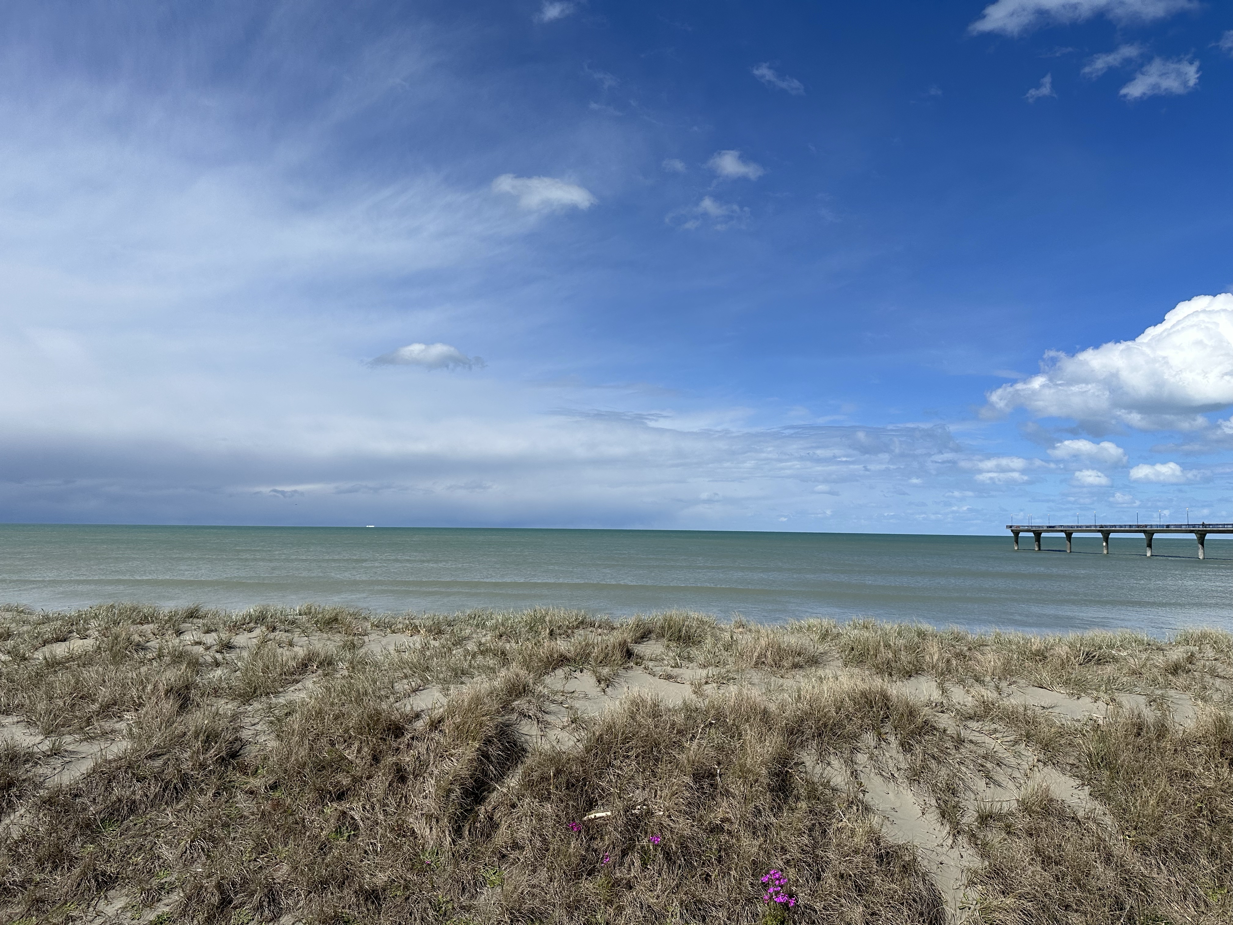Waipara Valley Wine Tasting