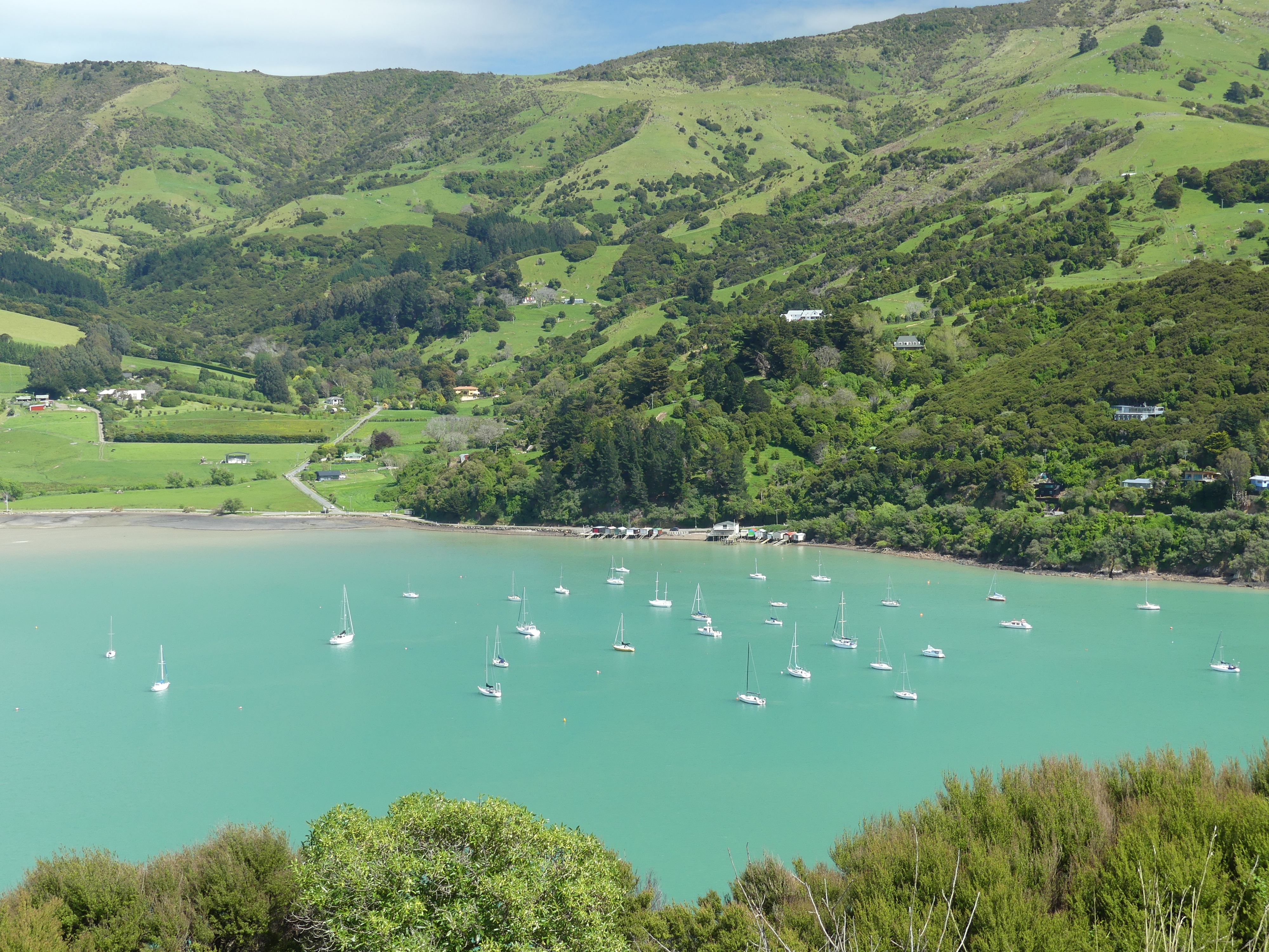 The Banks Peninsula